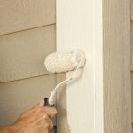 Siding Painting