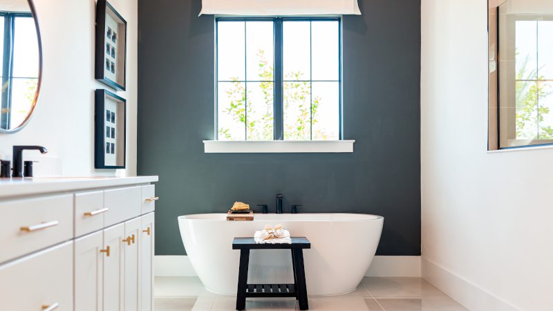 Add Style and Protect Your Walls with Bathroom Painting